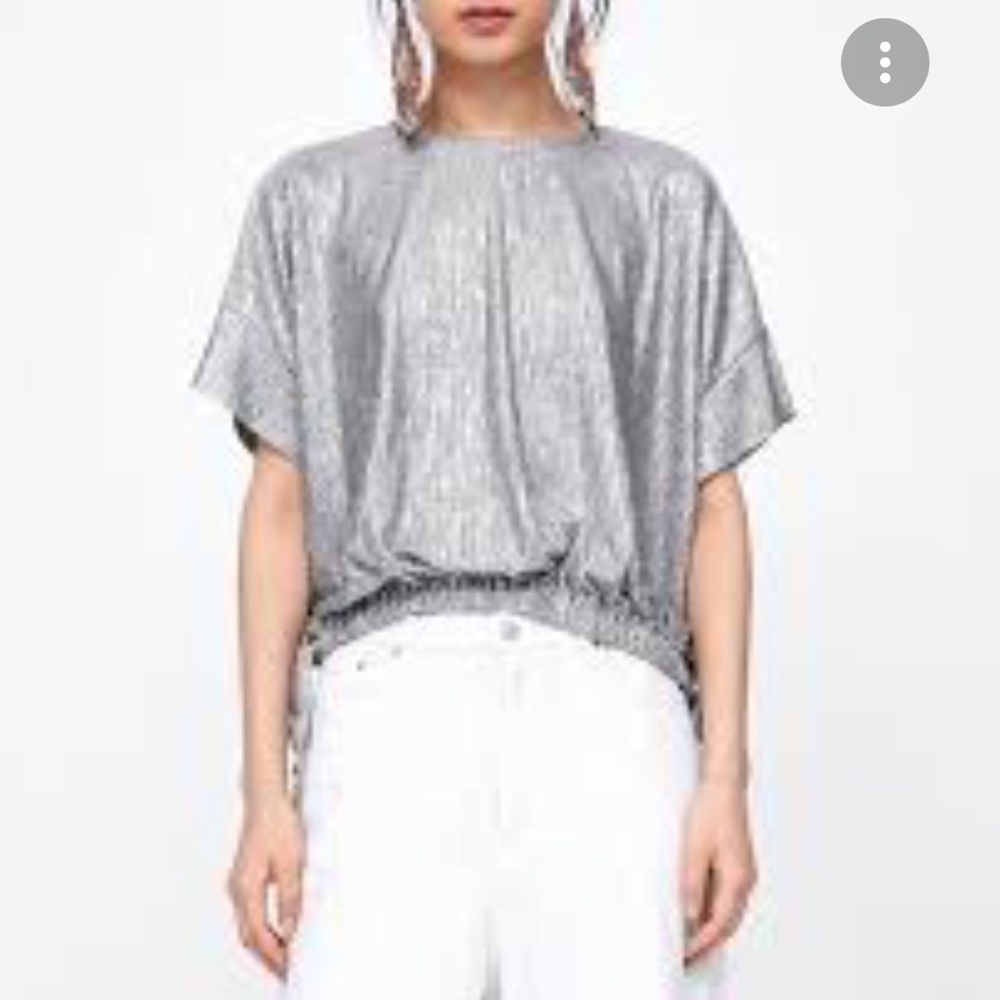 Zara Metallic Cinched Top